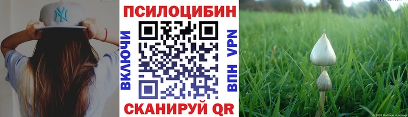 Псилоцибиновые грибы Cubensis дарнет шоп Якутск